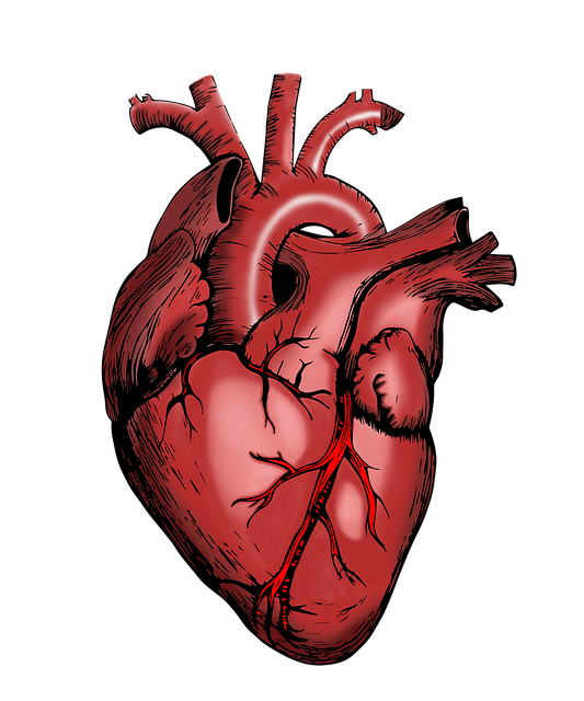 infarkt
